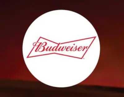 budweiser beer